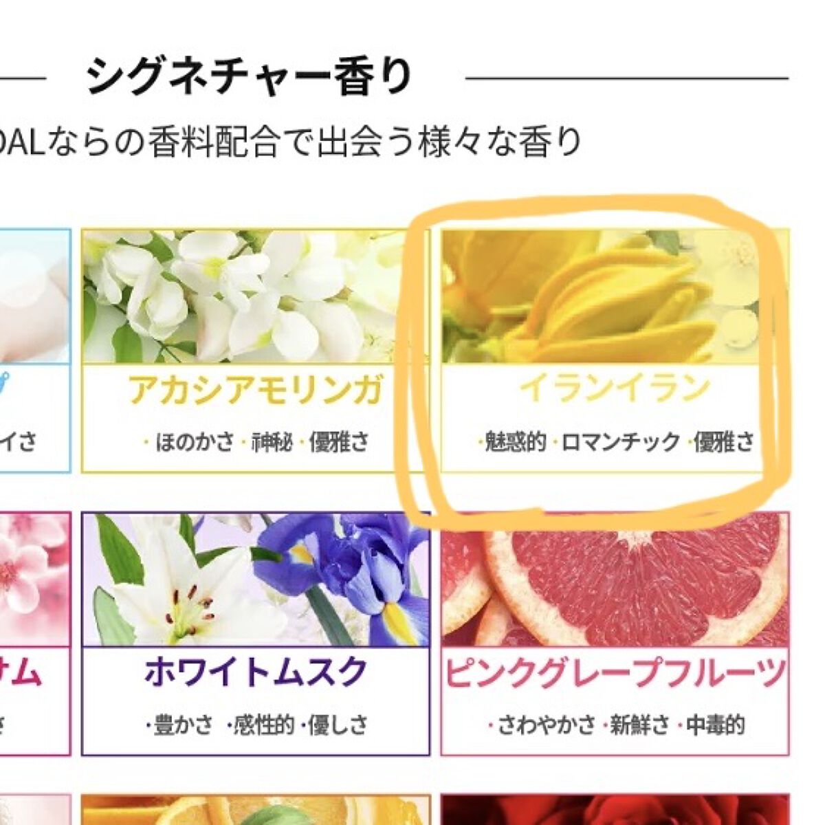 ネイチャーシャンプー/KUNDAL/市販シャンプーを使ったクチコミ（3枚目）