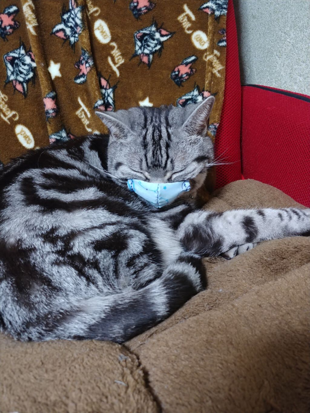 ドラマティックスキンセンサーベース UV/マキアージュ/化粧下地を使ったクチコミ(3枚目)