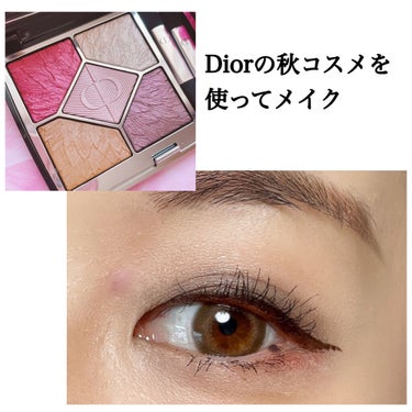 サンク クルール クチュール＜バーズ オブ ア フェザー＞/Dior/アイシャドウパレットを使ったクチコミ（2枚目）