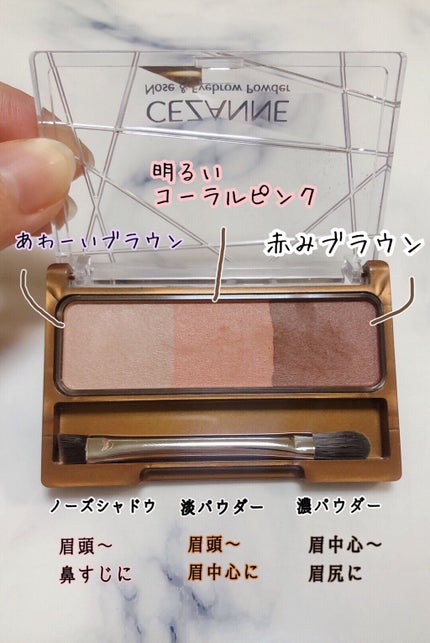 ノーズ&アイブロウパウダー/CEZANNE/パウダーアイブロウを使ったクチコミ(2枚目)