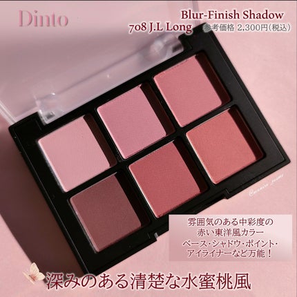 ブラーフィニシュシャドウパレット/Dinto/アイシャドウパレットを使ったクチコミ(2枚目)