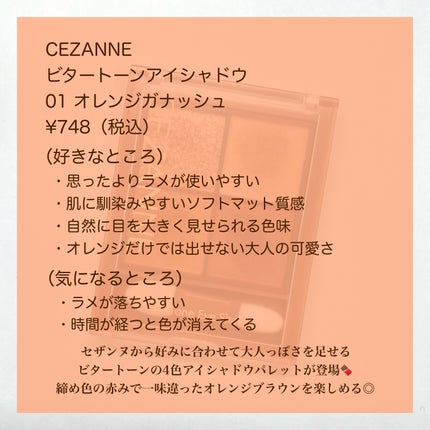 ビタートーンアイシャドウ/CEZANNE/パウダーアイシャドウを使ったクチコミ(8枚目)