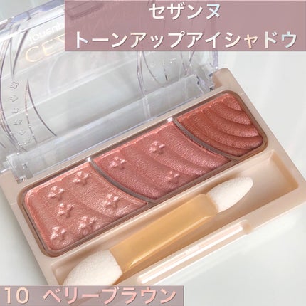 トーンアップアイシャドウ/CEZANNE/アイシャドウパレットを使ったクチコミ(1枚目)