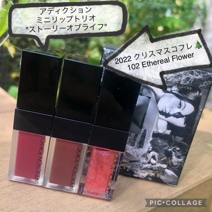 ミニ リップ トリオ “ストーリー オブ ライフ”/ADDICTION/メイクアップキットを使ったクチコミ(1枚目)