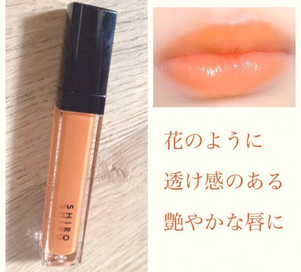 エッセンスリップオイルカラー/SHIRO/リップオイルを使ったクチコミ(1枚目)