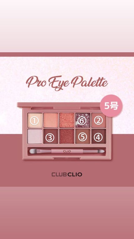 プロ アイ パレット/CLIO/アイシャドウパレットを使ったクチコミ(3枚目)