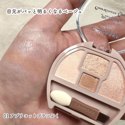 プランぷくコーデアイズ/キャンメイク/パウダーアイシャドウを使ったクチコミ(5枚目)