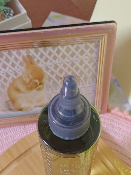 ヴィーガンソイウォーター/エアンス/洗い流すヘアトリートメントを使ったクチコミ(4枚目)