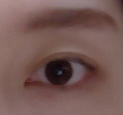 パーフェクトエクステンション マスカラ/D-UP/マスカラを使ったクチコミ（3枚目）