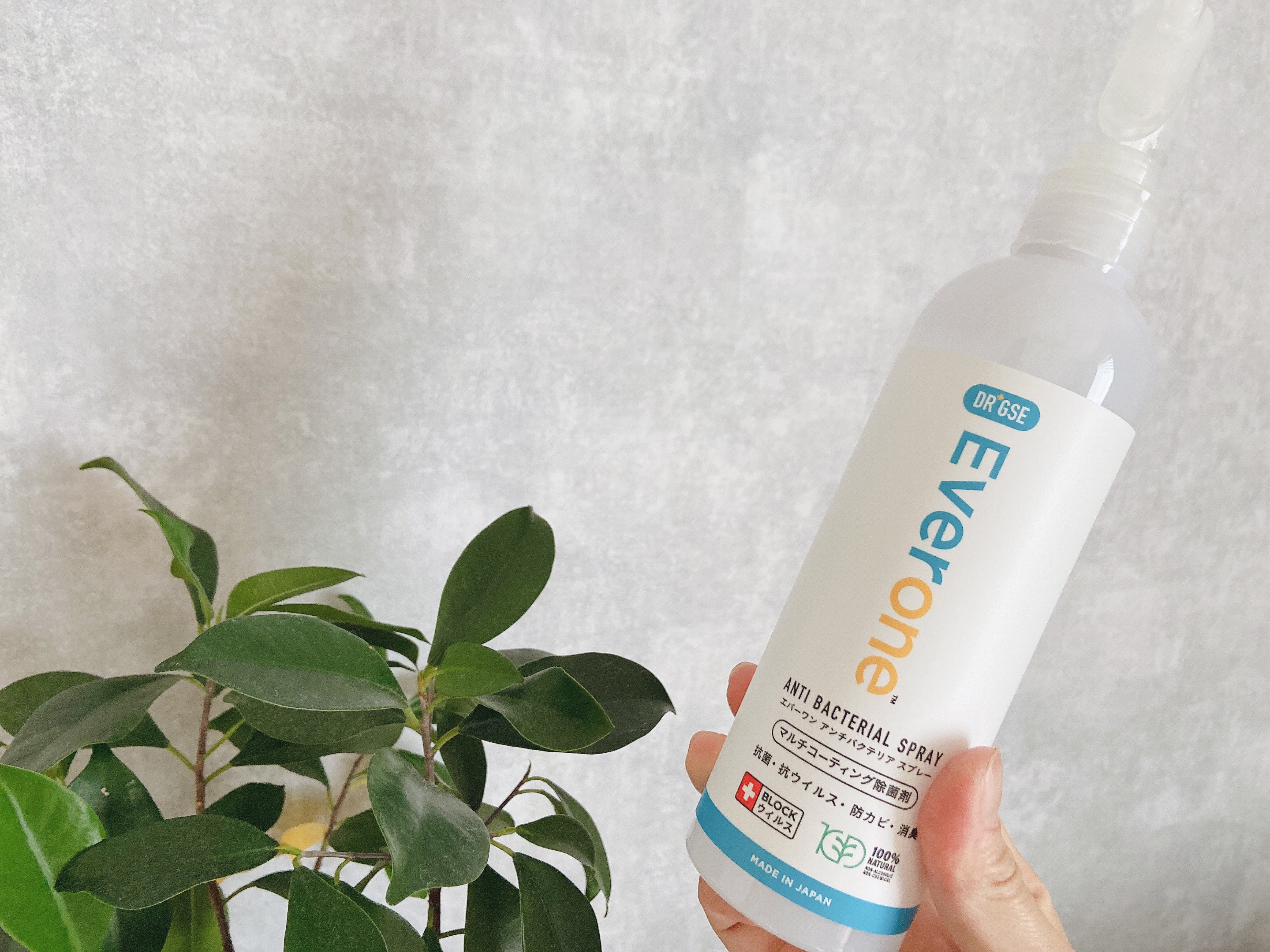 エバーワン マルチ消臭・除菌・抗菌スプレー/DR.GSE/その他を使ったクチコミ（2枚目）
