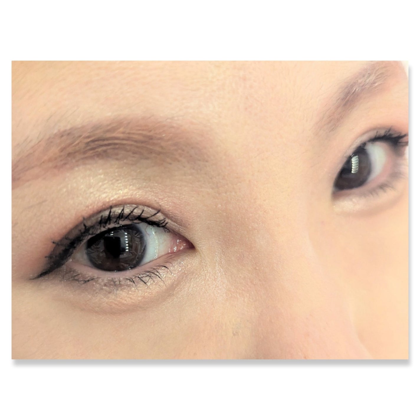 ショコラスウィート アイズ/リンメル ロンドン/アイシャドウパレットを使ったクチコミ(2枚目)