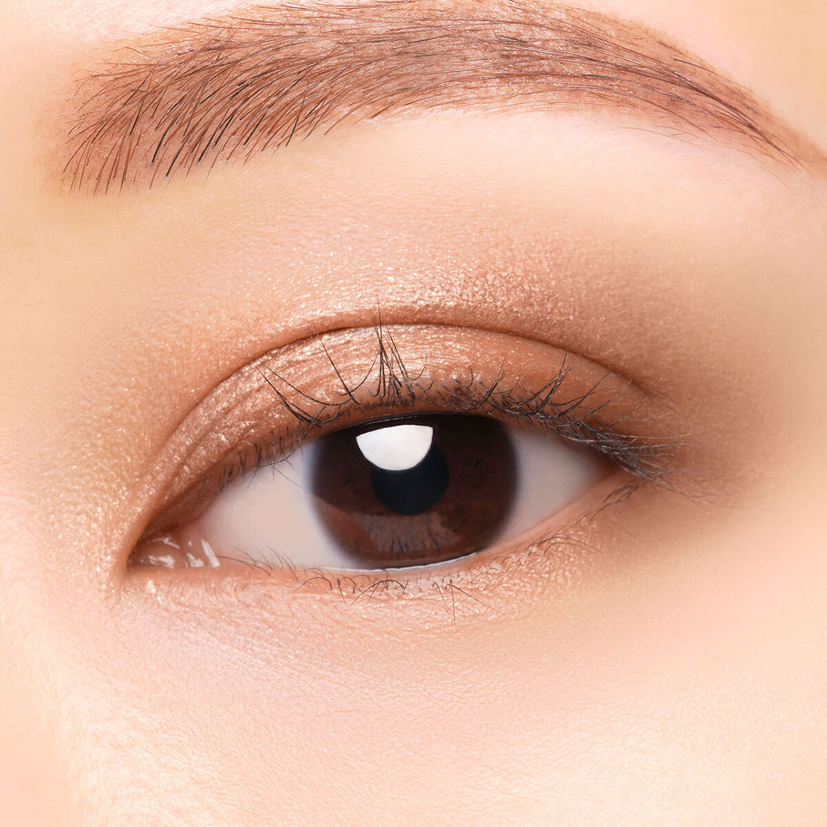 レヨン ジュレアイズ N 10