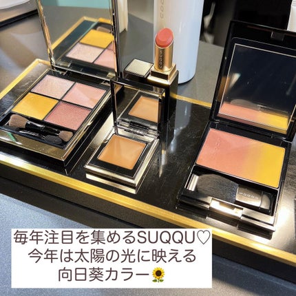 コンスピキュアス アイズ/Amplitude/アイシャドウパレットを使ったクチコミ(4枚目)