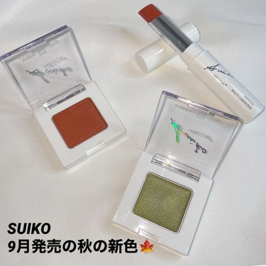 ミネラルマルチカラー 05 アンバーテラコッタ/SUIKO HATSUCURE/シングルアイシャドウを使ったクチコミ（2枚目）