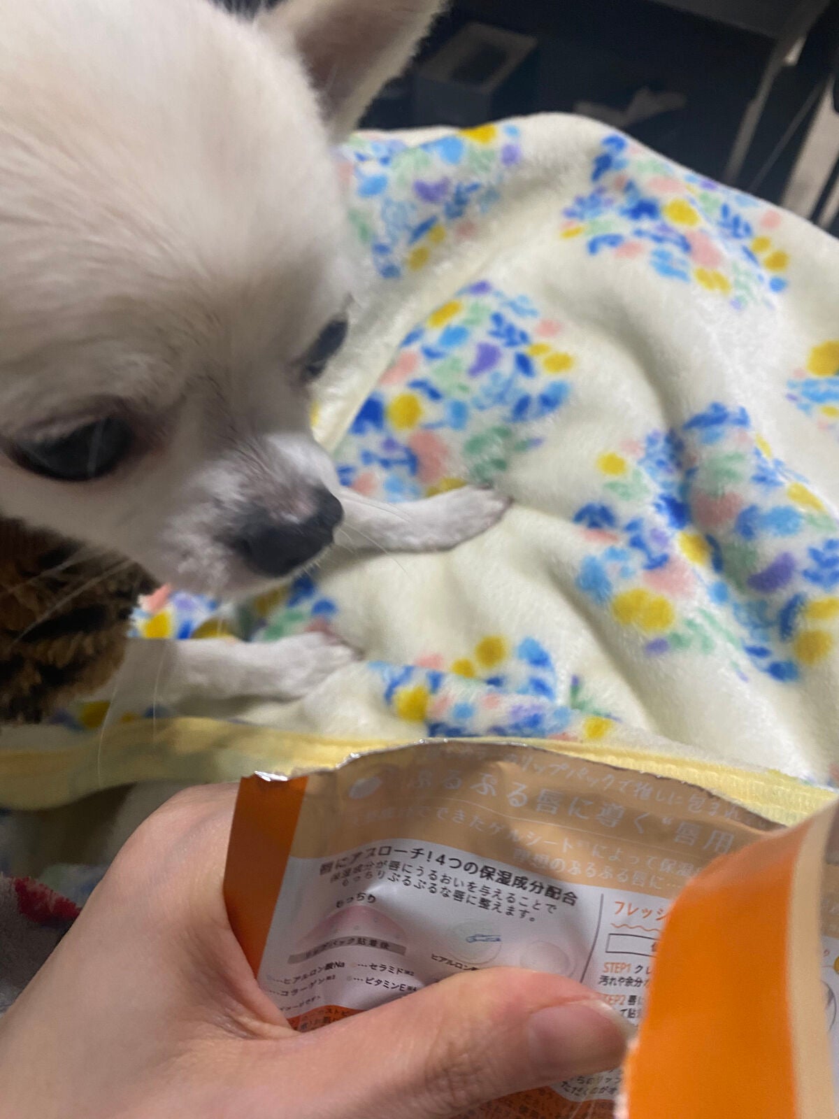 リップパック /CHOOSY/リップマスクを使ったクチコミ(4枚目)