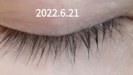ラッシュアディクト アイラッシュコンディショニングセラム/soaddicted/まつげ美容液を使ったクチコミ(2枚目)