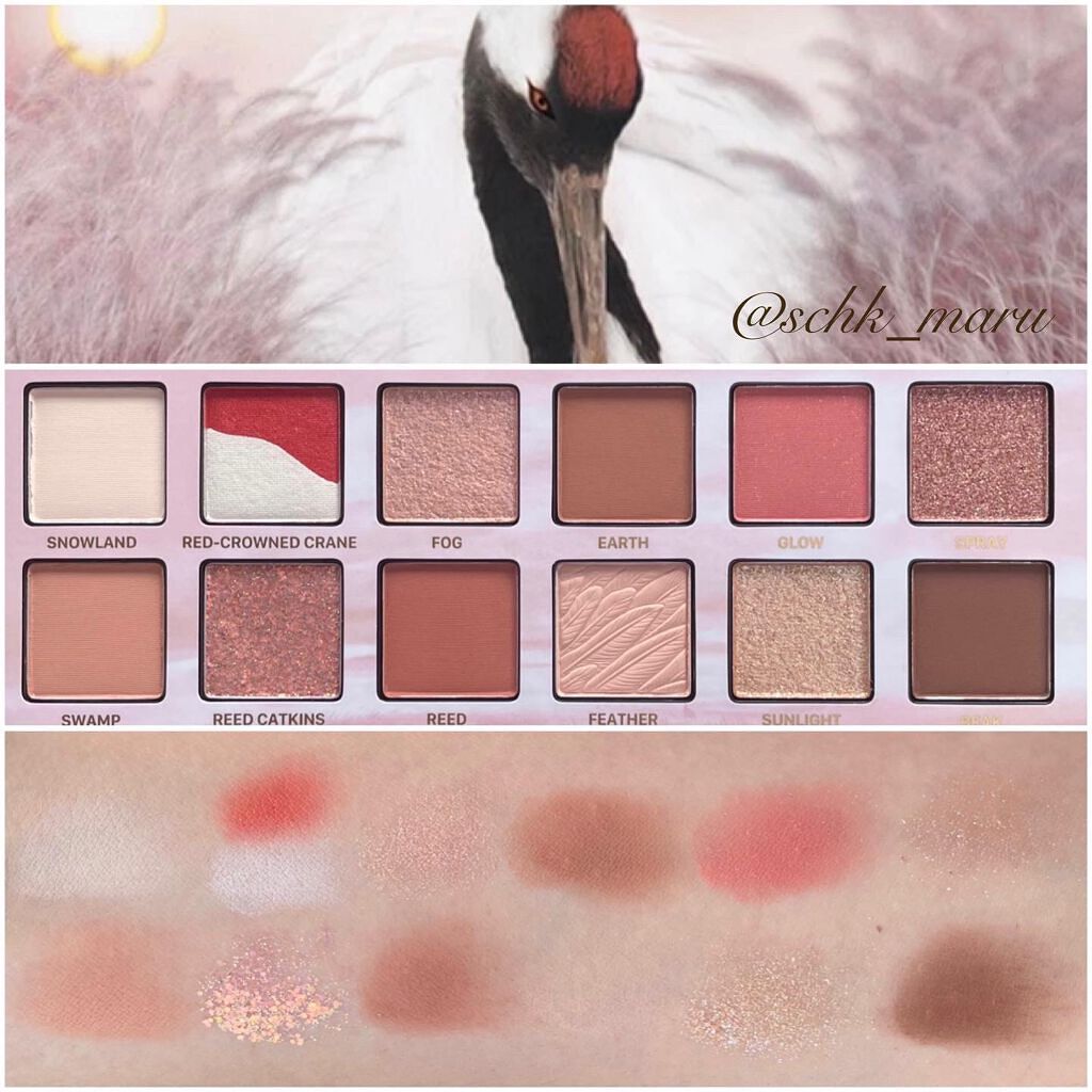 エクスプローラ12色 動物アイシャドウパレット/PERFECT DIARY/アイシャドウパレットを使ったクチコミ(7枚目)