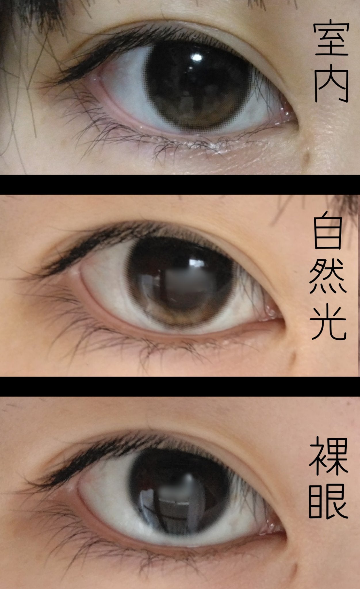 メランジェ シュエット ワンデー/melange+chouette/ワンデー(1DAY)カラコンを使ったクチコミ(2枚目)