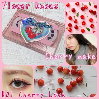  レトロマグネティック アイシャドウパレット 01 チェリーガール(Cherry Girl)/FlowerKnows/パウダーアイシャドウを使ったクチコミ（1枚目）