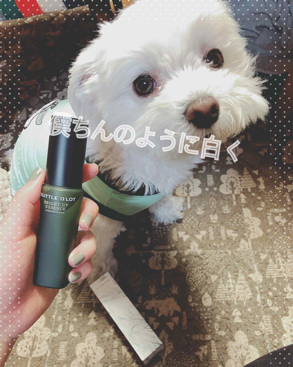 ブライトアップエッセンス/a LITTLE a LOT(ア リトル ア ロット)/美容液を使ったクチコミ(1枚目)