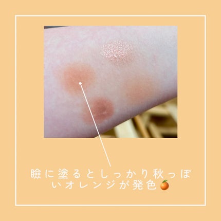 ビタートーンアイシャドウ/CEZANNE/パウダーアイシャドウを使ったクチコミ(3枚目)