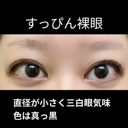 エバーカラーワンデー ナチュラル/エバーカラー/ワンデー(1DAY)カラコンを使ったクチコミ(2枚目)