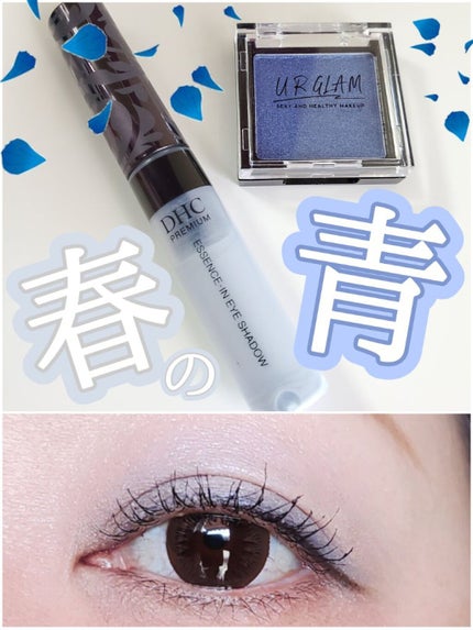 エッセンスイン アイシャドウ/DHC/リキッドアイシャドウを使ったクチコミ(1枚目)
