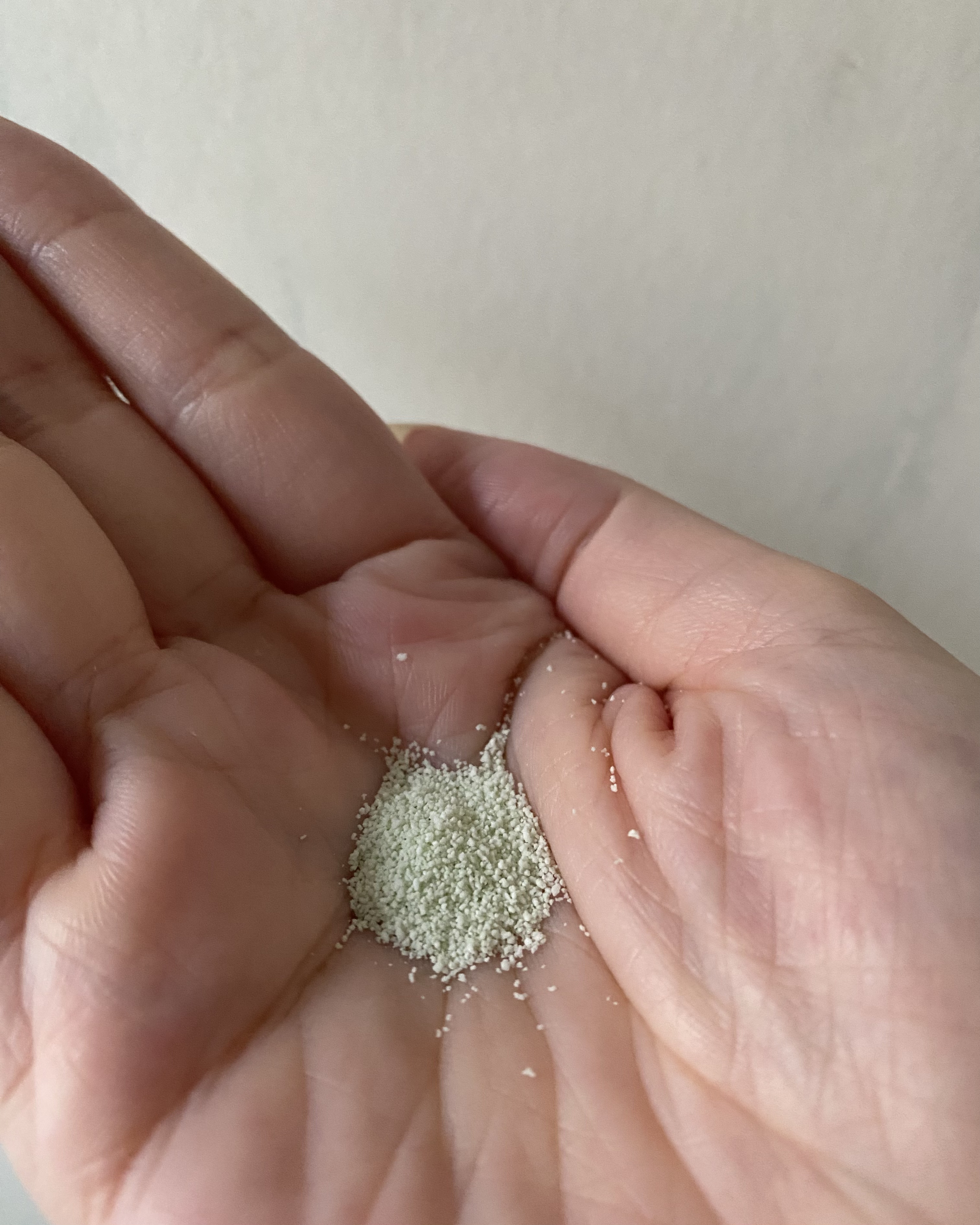 シカカーミングパウダーウォッシュ/TOCOBO/洗顔パウダーを使ったクチコミ（3枚目）