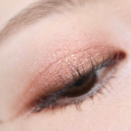 エクスプローラ12色 動物アイシャドウパレット/PERFECT DIARY/アイシャドウパレットを使ったクチコミ(8枚目)