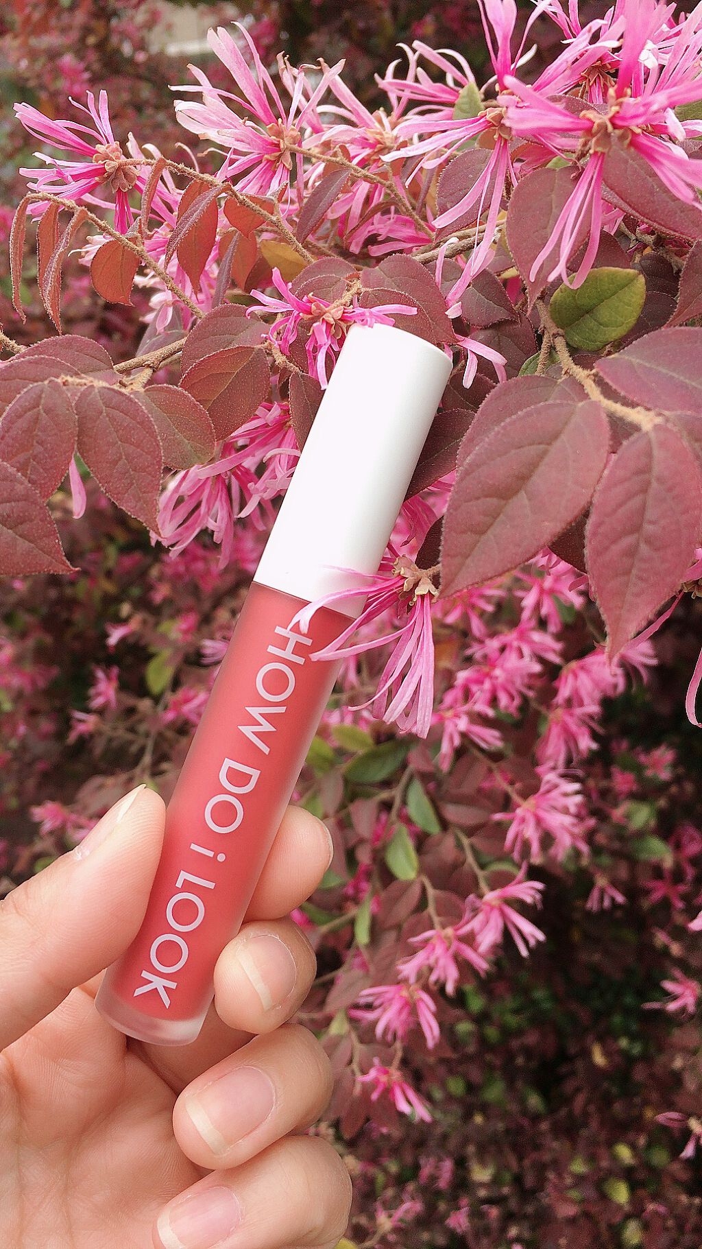 エマルジョンリップティント/HOWDOiLOOK/リップティントを使ったクチコミ（1枚目）