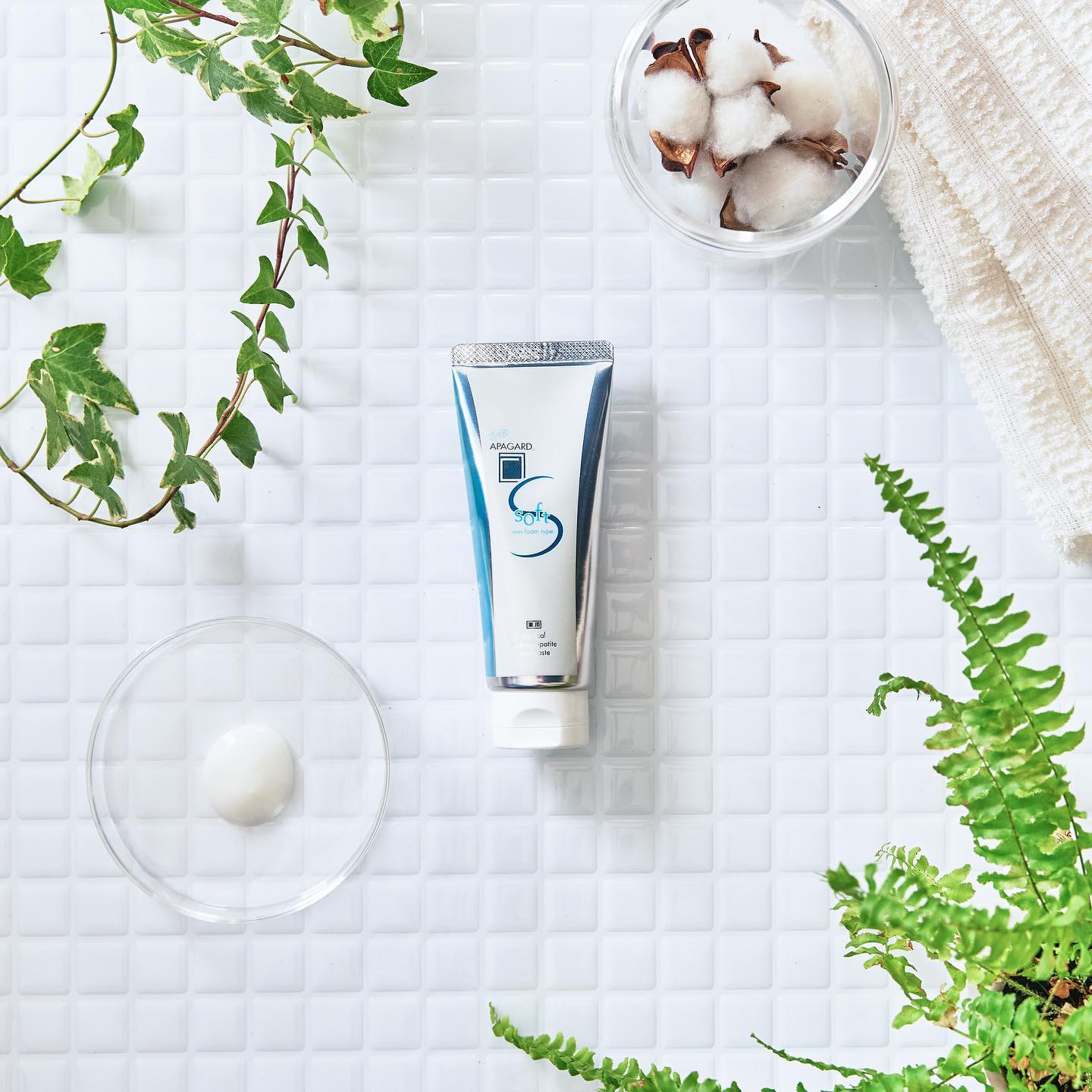  アパガードソフト/アパガード/歯磨き粉を使ったクチコミ（1枚目）