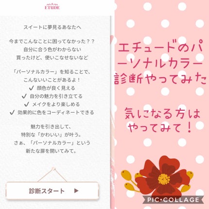 パーソナルカラー診断/ETUDE/その他を使ったクチコミ(1枚目)