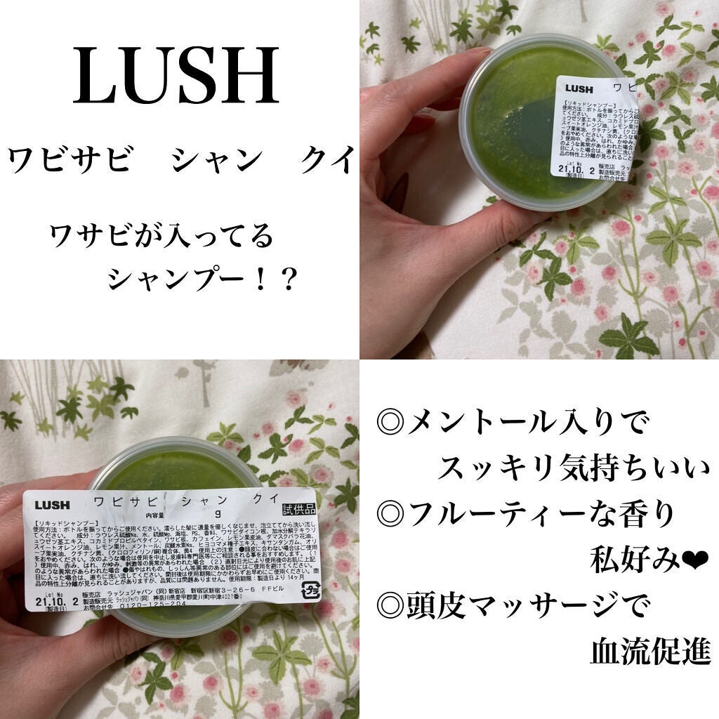 ワビサビ シャン クイ リキッドシャンプー/ラッシュ/市販シャンプーを使ったクチコミ(1枚目)