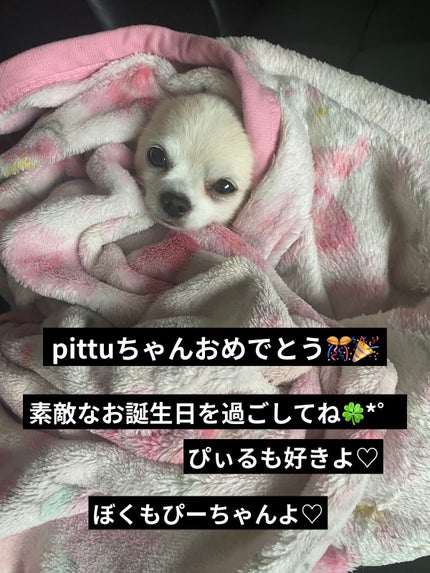 ACネイルエナメル/セリア/マニキュアを使ったクチコミ(5枚目)