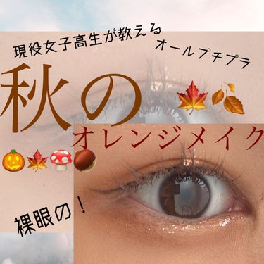 こんにちは〜

今回は久しぶりの投稿です！

現役女子高生が教える秋のオレンジメイク🍊

ぜひ参考に〜✨


【手順】
1.CANMAKEのアイシャドウの１を二重幅より広めに    　

2.2を二重幅