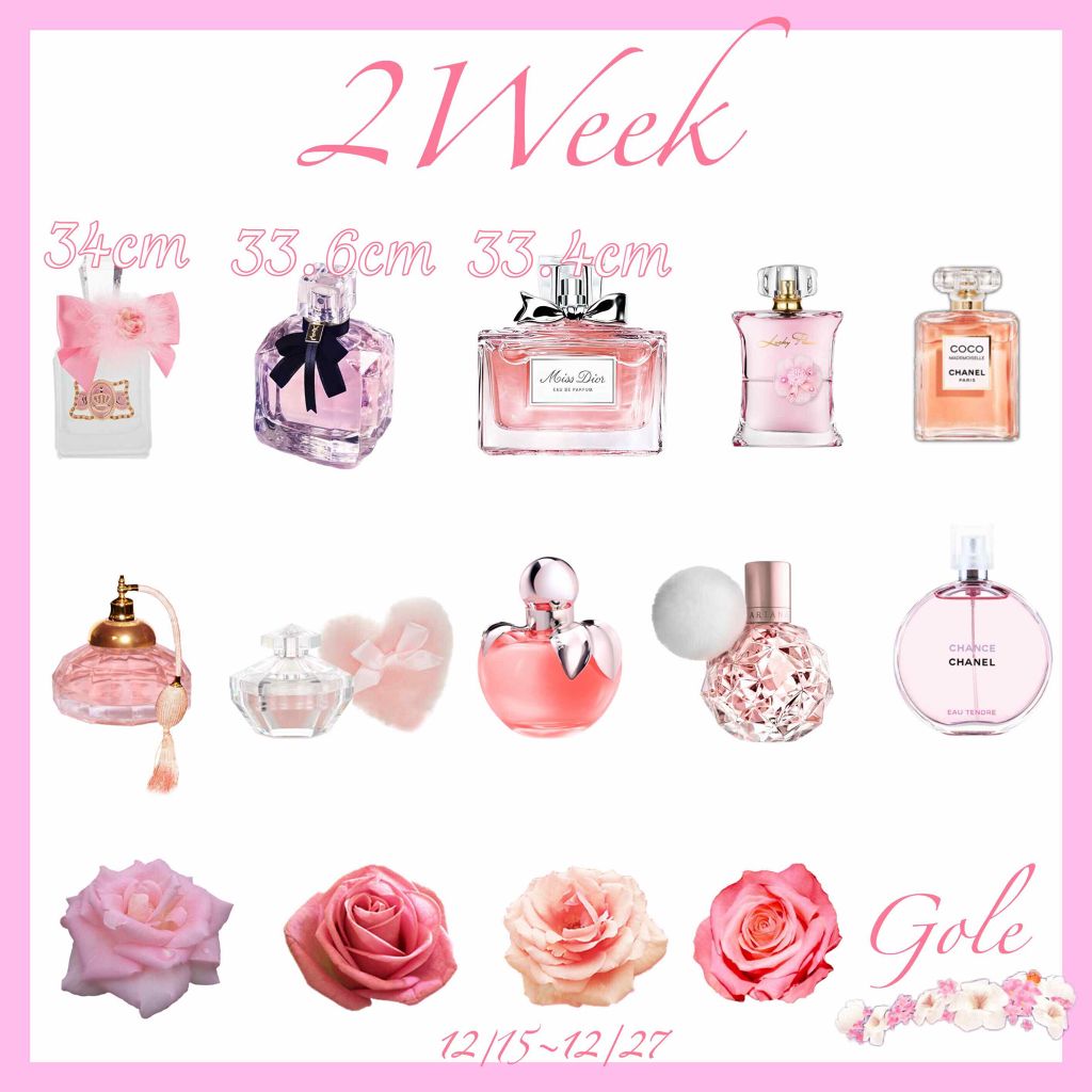 Erika on LIPS 「4日目!2週間で10キロ痩せるダンスseason2本日は「so..」(3枚目)