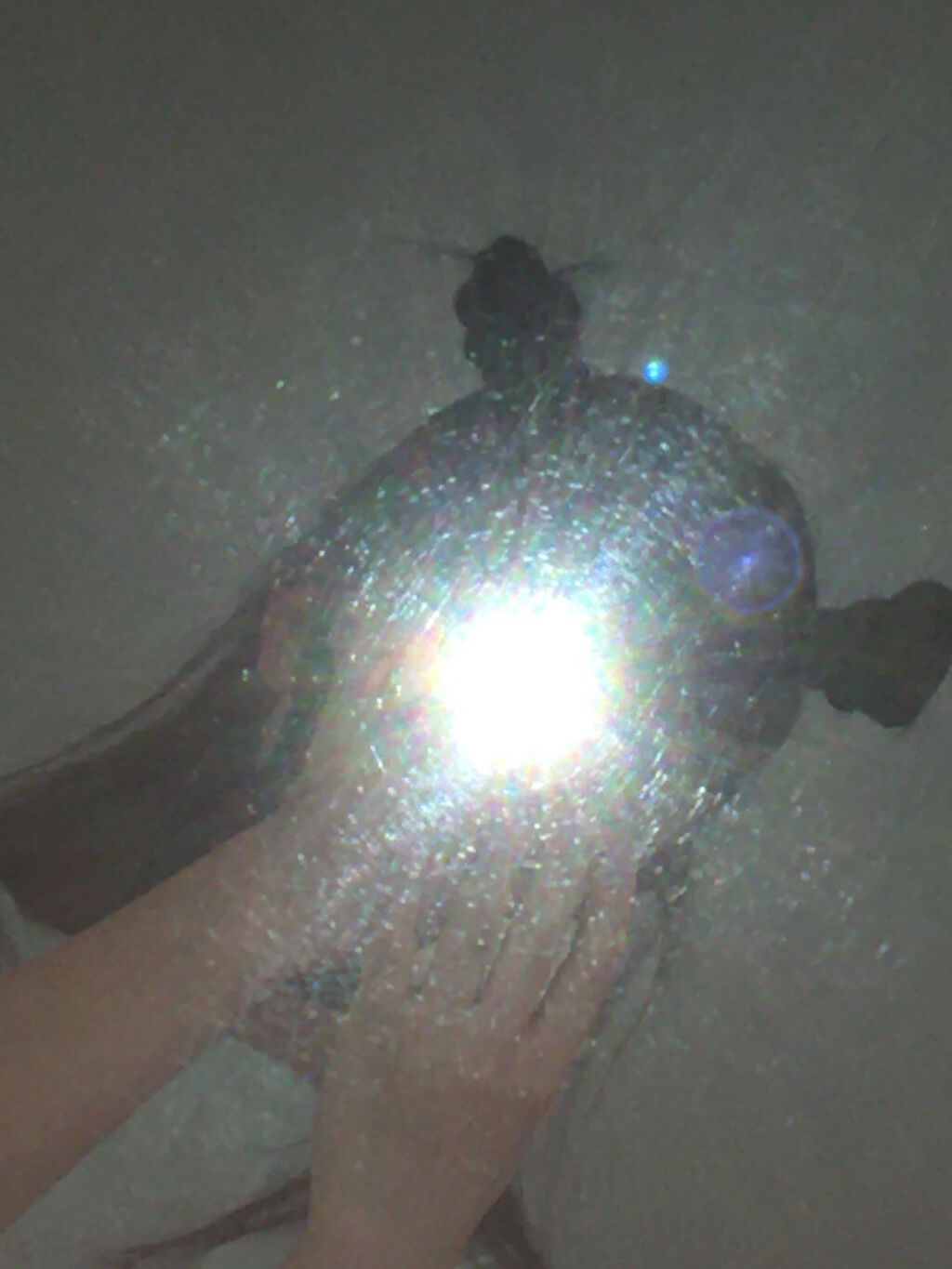 ããðŒð§ž on LIPS ãããŸã¡ãã颚ð»é«ªåâ ïžãã®åçã¯èªåã§ãåãªã®ã§ãè¶³ããªããã€..ãïŒ1æç®ïŒ