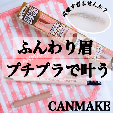 スタイリングエッジアイブロウ/キャンメイク/アイブロウペンシルを使ったクチコミ(1枚目)