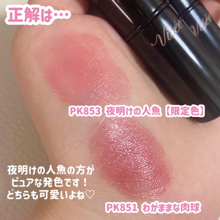 ネンマクフェイク ルージュ/Visée/口紅を使ったクチコミ(2枚目)