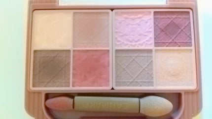 プティパレットアイズ(マットタイプ)/キャンメイク/パウダーアイシャドウを使ったクチコミ(2枚目)
