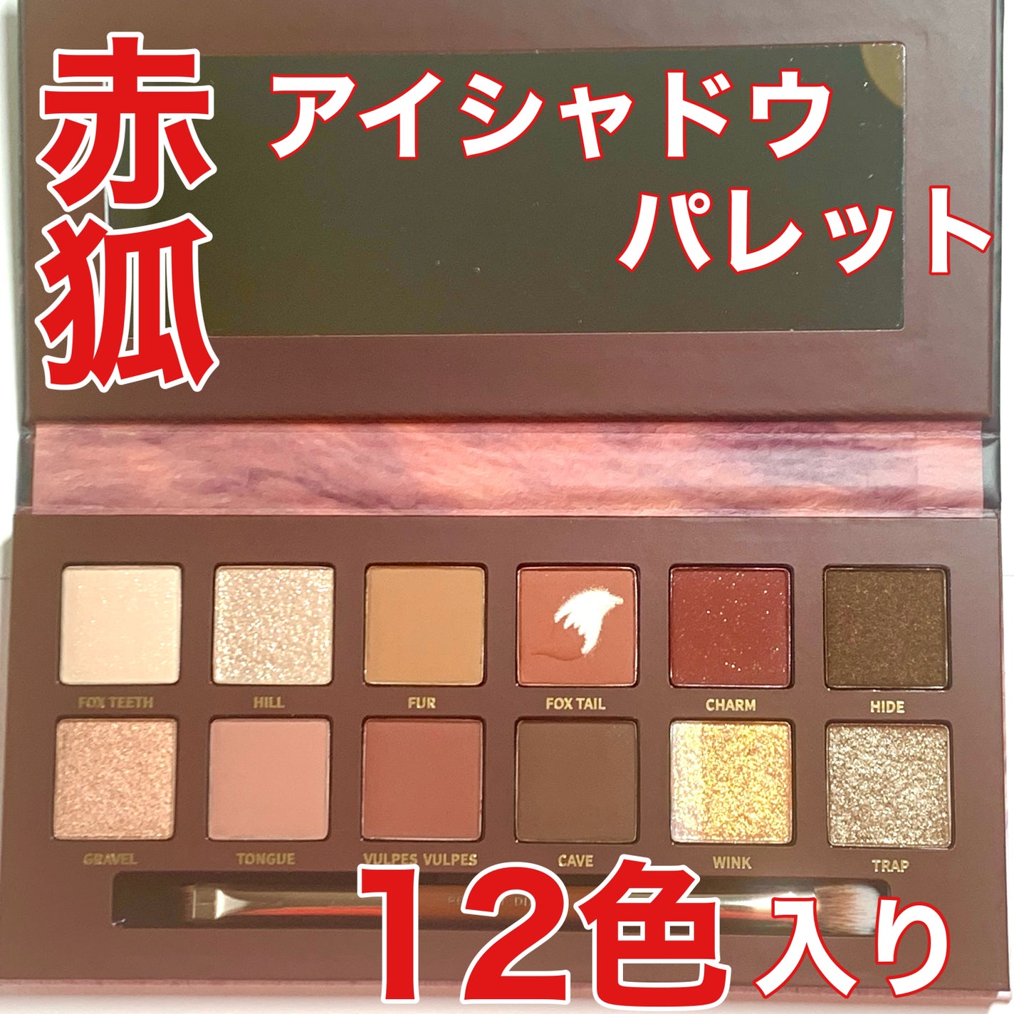 エクスプローラ12色 動物アイシャドウパレット/PERFECT DIARY/アイシャドウパレットを使ったクチコミ(1枚目)