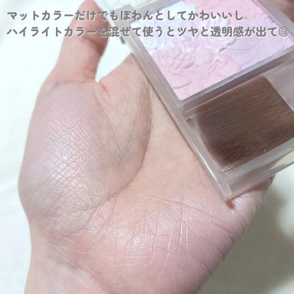 グロウフルールチークス(ブレンドタイプ)/キャンメイク/パウダーチークを使ったクチコミ(5枚目)