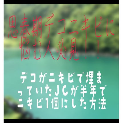 日本酒の化粧水/菊正宗/化粧水を使ったクチコミ(1枚目)