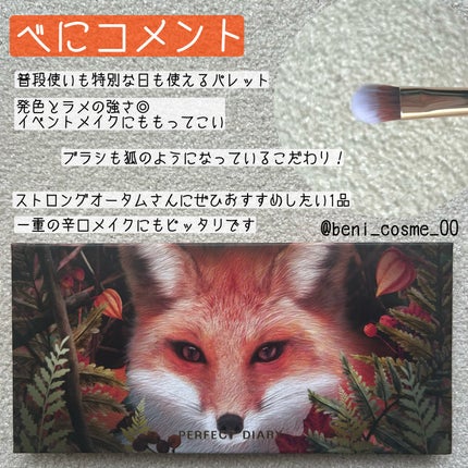 エクスプローラ12色 動物アイシャドウパレット/PERFECT DIARY/アイシャドウパレットを使ったクチコミ(7枚目)