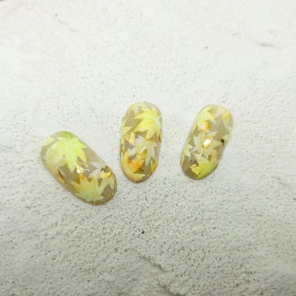 クレイジェル/セリア/ジェルネイルを使ったクチコミ(2枚目)