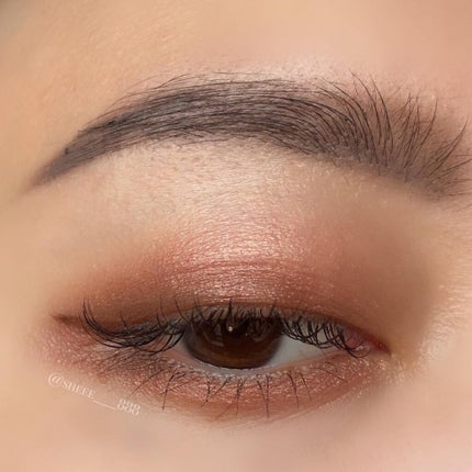 アディクション ザ マット リップ リキッド/ADDICTION/口紅を使ったクチコミ(2枚目)