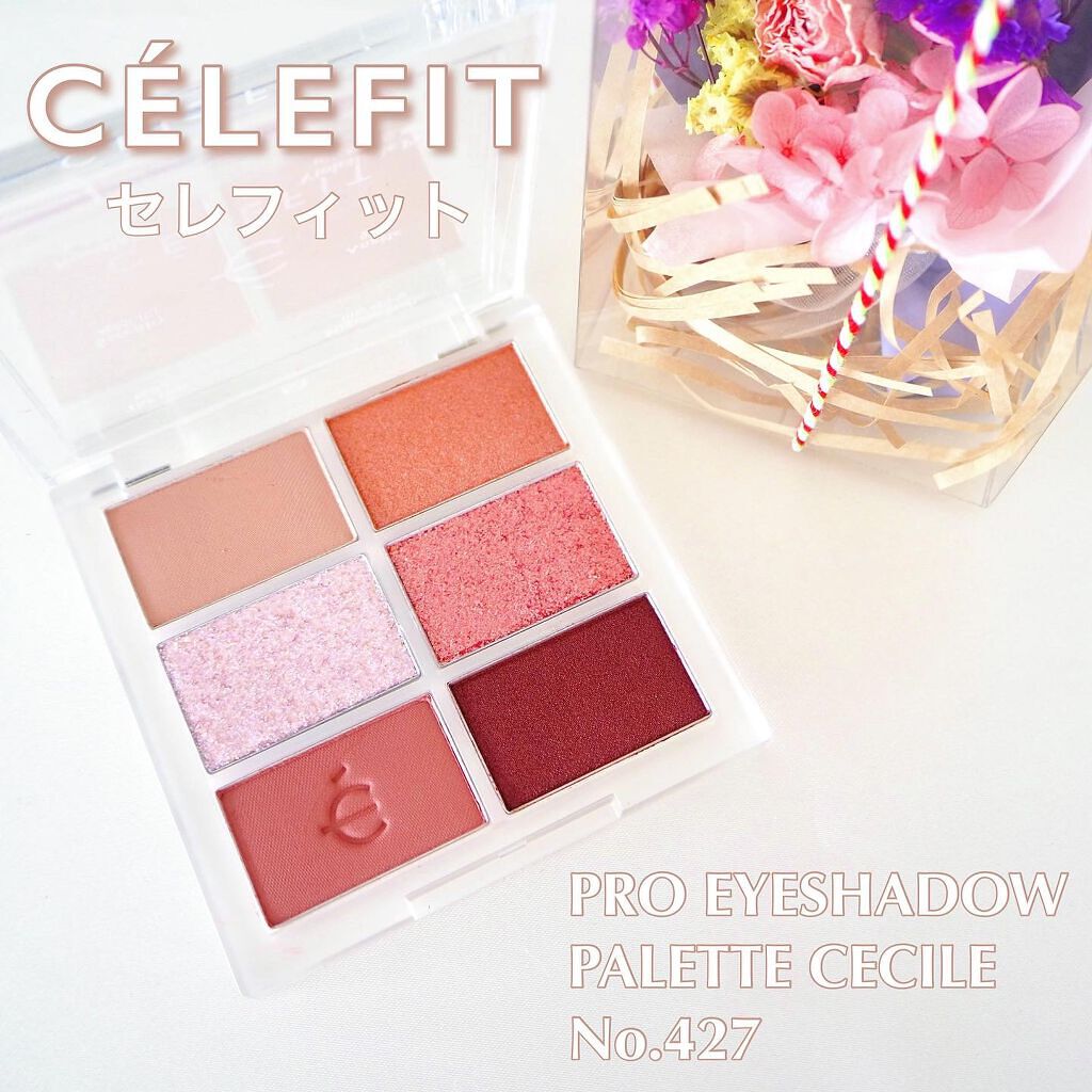 プロアイシャドウパレットセシル/CELEFIT/アイシャドウパレットを使ったクチコミ(1枚目)