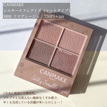 シルキースフレアイズ(マットタイプ)/キャンメイク/アイシャドウパレットを使ったクチコミ(2枚目)