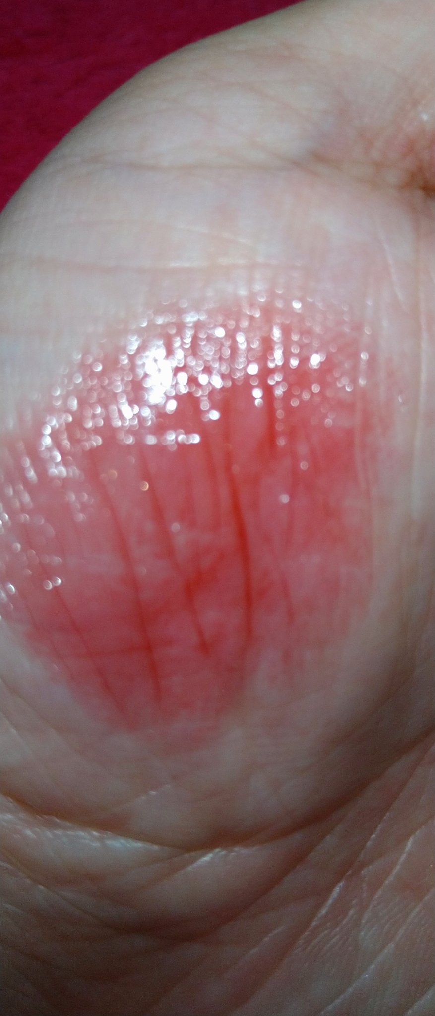 モイスチャー リッチ リップスティック 09 輝赤 -KIAKA/SUQQU/口紅を使ったクチコミ（2枚目）