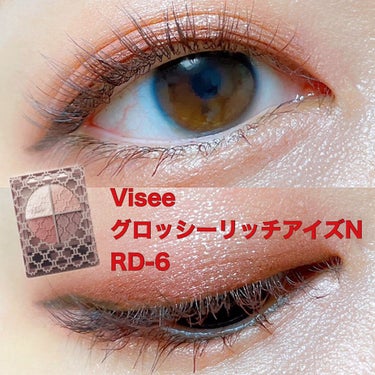 グロッシーリッチ アイズ N RD-6 ブラウニッシュレッド系/Visée/アイシャドウパレットを使ったクチコミ（1枚目）